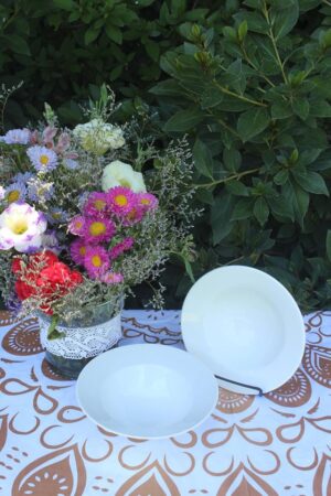 BOWL PROFUNDO CON ALA 18 cm D
