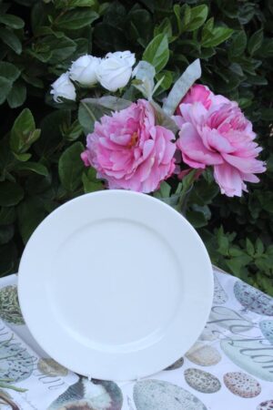 PLATO POSTRE 21 CMS Banquet