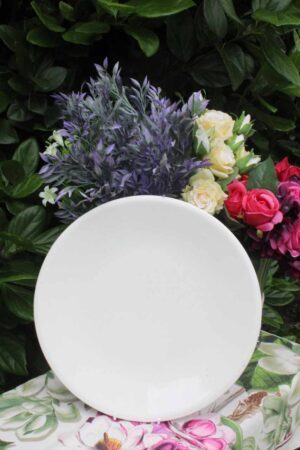 PLATO PIZZA 27 CM BANQUET