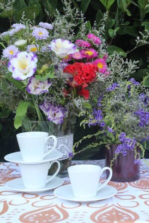 PLATO DE CAFÉ (300)
