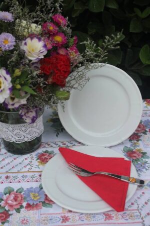 PLATO POSTRE 21 cm (3200)