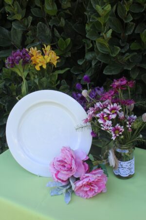 Plato Playo 30 cm (0900)