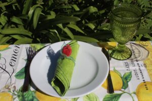 PLATO PLAYO 24CM
